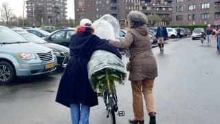 Druk in de weer met de kerstboom 