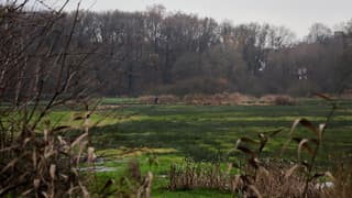 Vlonderpad Beekdal in Renkum