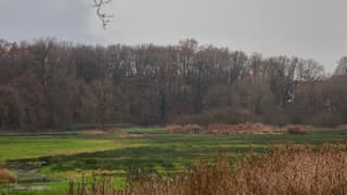 Vlonderpad Beekdal in Renkum