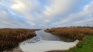 Veel schuim? bij het natuurwater van het Belterwijde in Giethoorn