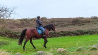 Paardrijden tussen de miezerbuitjes 
