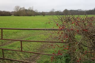 Kleur op deze grijze dag