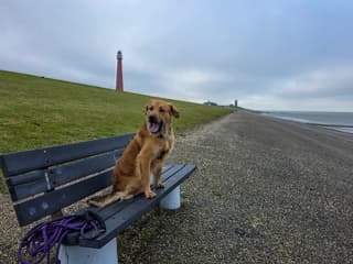 gaperig word je van dit saaie grijze weer...soms...