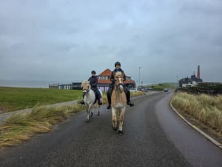 met de paarden richting strand....rond 3uur...