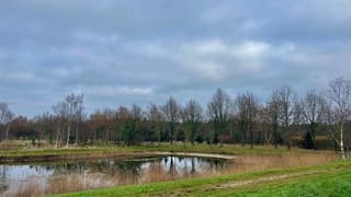 Prima wandelweer, maar wel een grijze dag. Donkere dagen voor kerst.