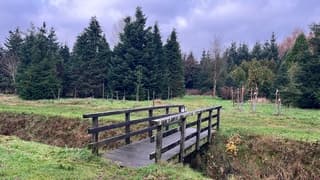 Nieuwe boompjes zijn gepland. Nu maar groeien.