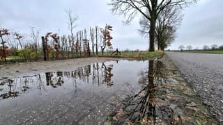 Druilerig,  grijs en nat