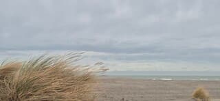 Grauwe lucht boven zee Monster 