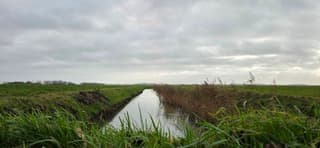 Bewolking boven de Groninger landerijen vanmiddag 