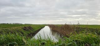 Bewolking boven de Groninger landerijen vanmiddag 
