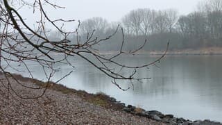 Regen, druilerig weer