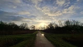 Zon vanochtend waarvan de stralen door de bomen weerkaatsen in een plas water 
