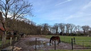 Veel regen gevallen vannacht