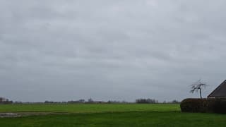 Alweer een grijze dag