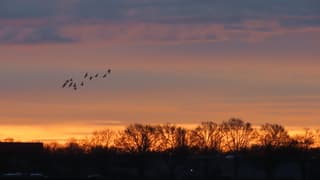 zonsopkomst met wat kleur, eindelijk