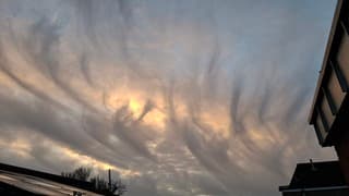 Bijzondere veren (?) In de lucht 