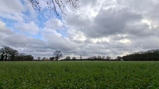 Blauwe lucht en grijze wolken boven het akkerland in Neede