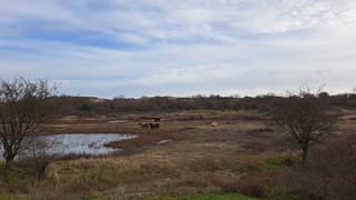 Bewolkt met wat blauwe lucht 