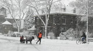 Vandaag 8 jaar geleden. Een flink pak sneeuw 