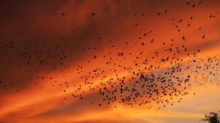 Wonderschoon schouwspel in de lucht