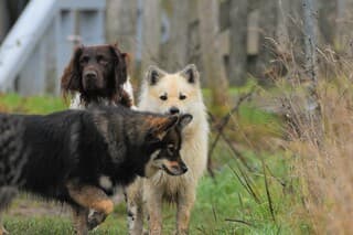 Natte pootjes maar het is wel droog