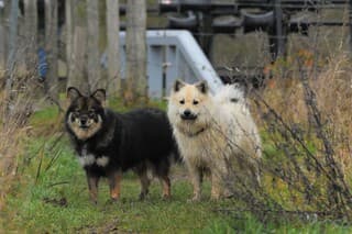 Natte pootjes maar het is wel droog