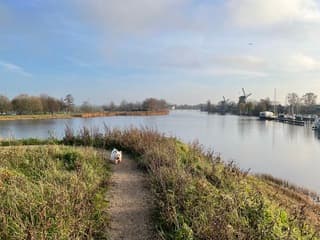 Bewolkte uitzicht op de molens 