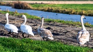 TWEEDUIZEND TIEN TWEEDUIZEND VIJFENTWINTIG