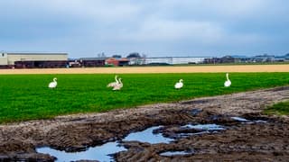 TWEEDUIZEND TIEN TWEEDUIZEND VIJFENTWINTIG