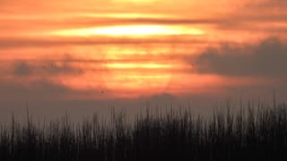 Zonsondergang met een beetje mist