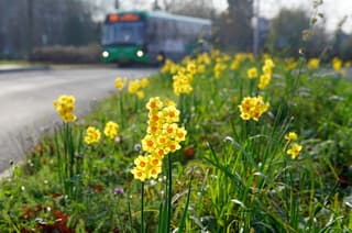 Lekker voorjaars gevoel 