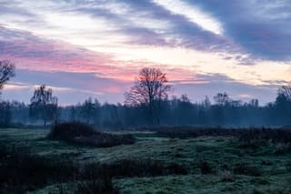 Echt genieten vanochtend
