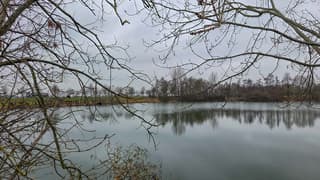 Grijs maar droog en rustig weer bij het Weel