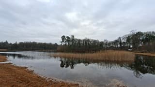 Grijs in natuurgebied Zwarte Dennen, weerspiegeling bomen en riet in het water, tijdstip foto 12.57 uur