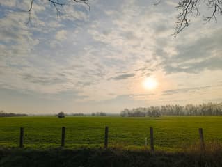 Ochtendlicht 