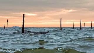 Zonsopkomst Markermeer