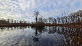 Spiegeltje spiegeltje aan de wand...