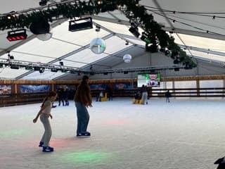 Schaatsen in de Bosch