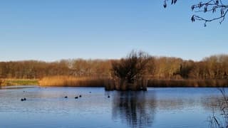 Zonovergoten op Texel vanmiddag 