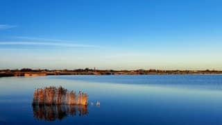 Rustig winter namiddag