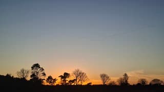 Wegtrekkende ganzen in v-vorm en de rode gloed van de zonsondergang boven de bomen en heide
