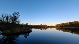 Spiegelbeeld bomen in het water van de ondergaande zon, geen wolkje aan de lucht