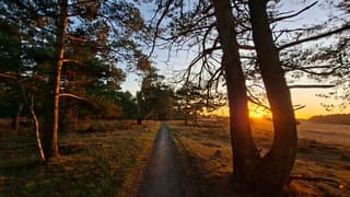 Zonsondergang bij wandelpad in de heide van Uffeltez tijdstip foto 16.02 uur