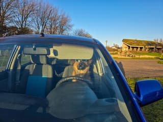 laag staande zon ,in deze tijd..is wel irritant als je auto moet rijden...