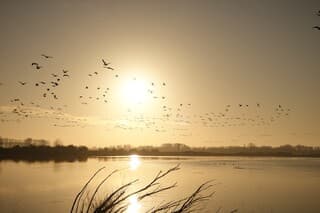 Prachtige middag geweest