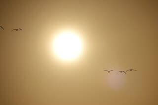 Zon, weinig wind 8 graden Celsius