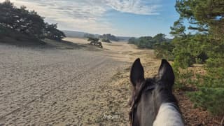 Uitzicht op de Wekeromse zandverstuiving