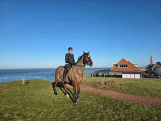 prachtige dag..veel zon en blauwe lucht...