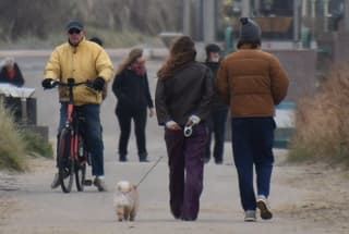 Bewolkt met een gure wind