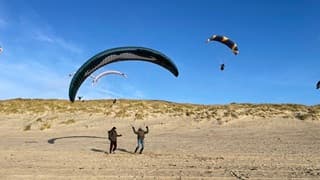 Jong geleerd is oud gedaan